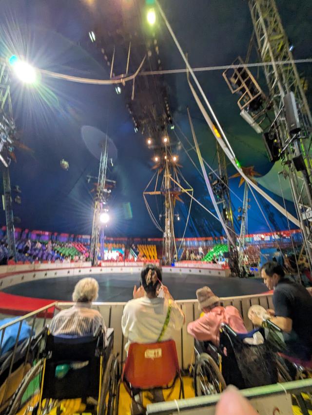 木下大サーカス