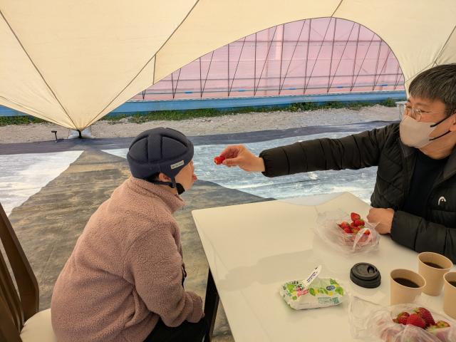 春の行事♪いちご狩りに行ってきました