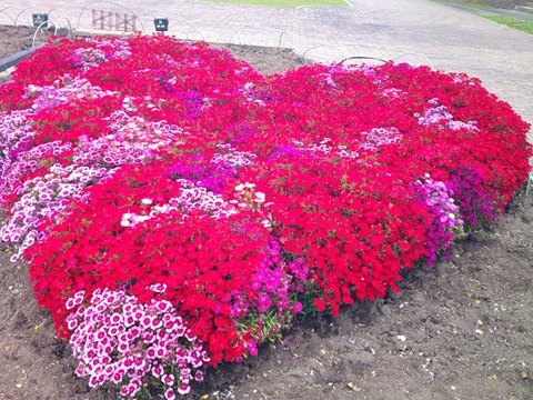 夢の家デイサービス　都市緑化植物園①